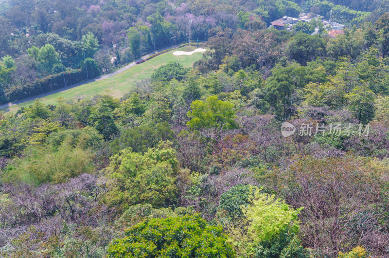 广州麓湖公园鸿鹄楼俯瞰山林高尔夫球场草地