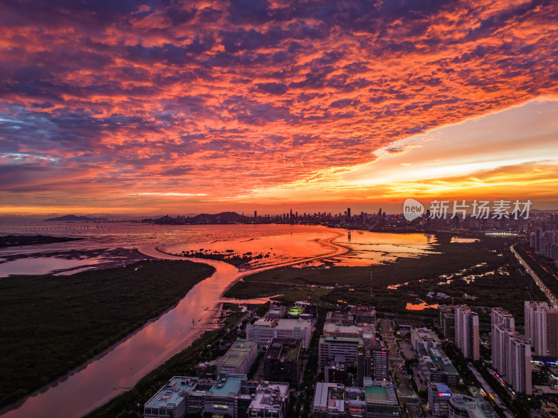 深圳南山区深圳湾晚霞