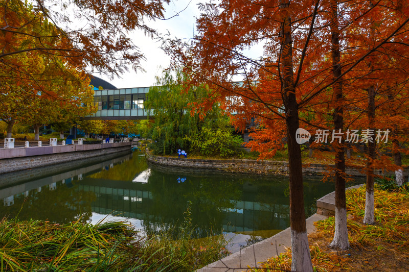 秋日河畔红叶与建筑风景