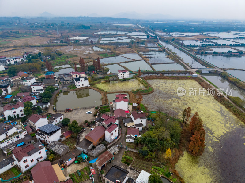 农村田园秋季风景