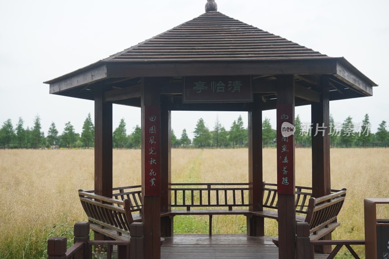 亭子与麦地