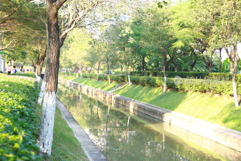 绿树成荫的公园水道风景