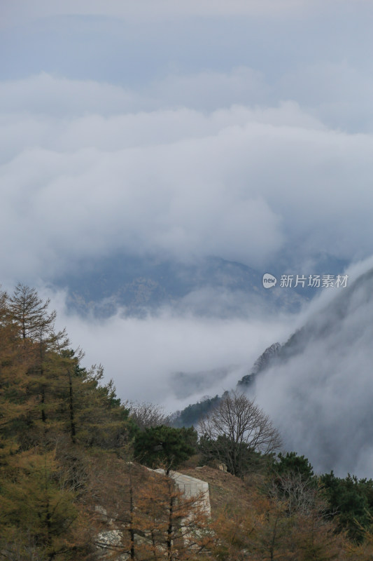 云雾缭绕的泰山