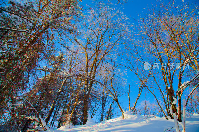 黑龙江 双峰林场 雪乡