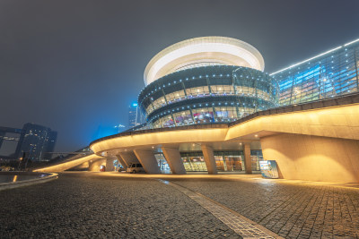 杭州大剧院-雨夜城市建筑风光