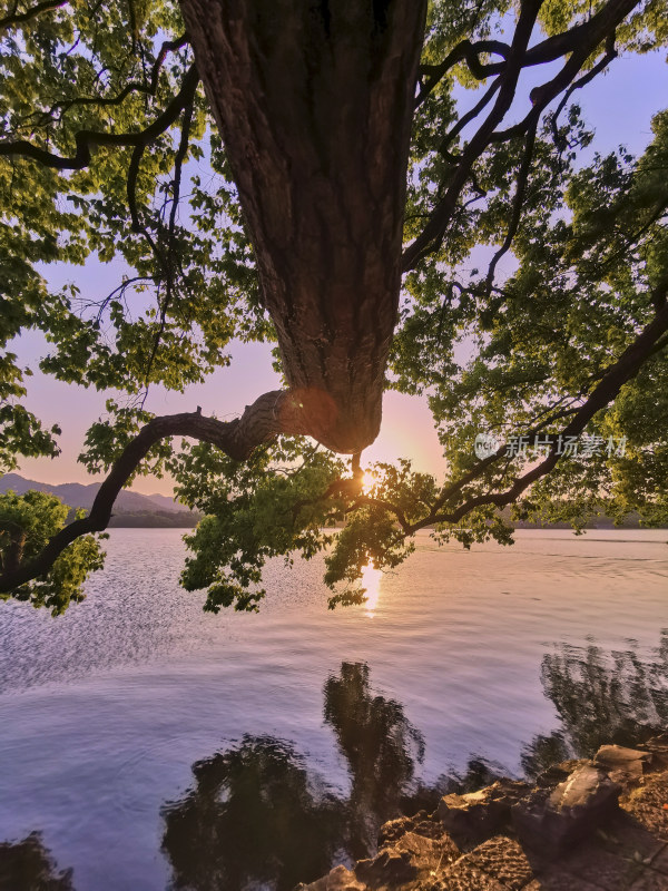 西湖的金色夕阳美景