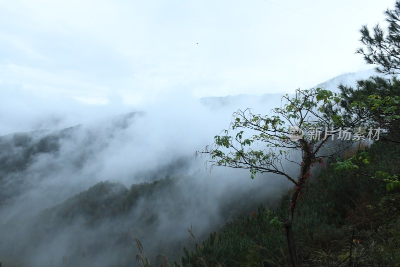 浙江天台山雾景