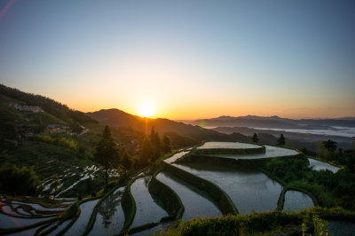 水稻梯田