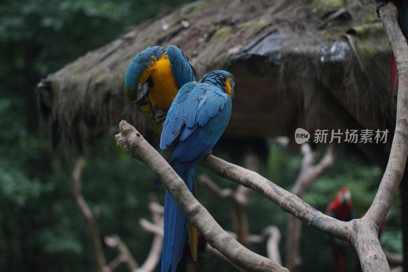 杭州风光 西湖风光