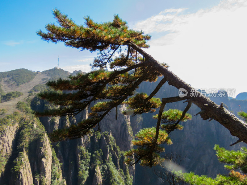 中国安徽黄山旅游风光