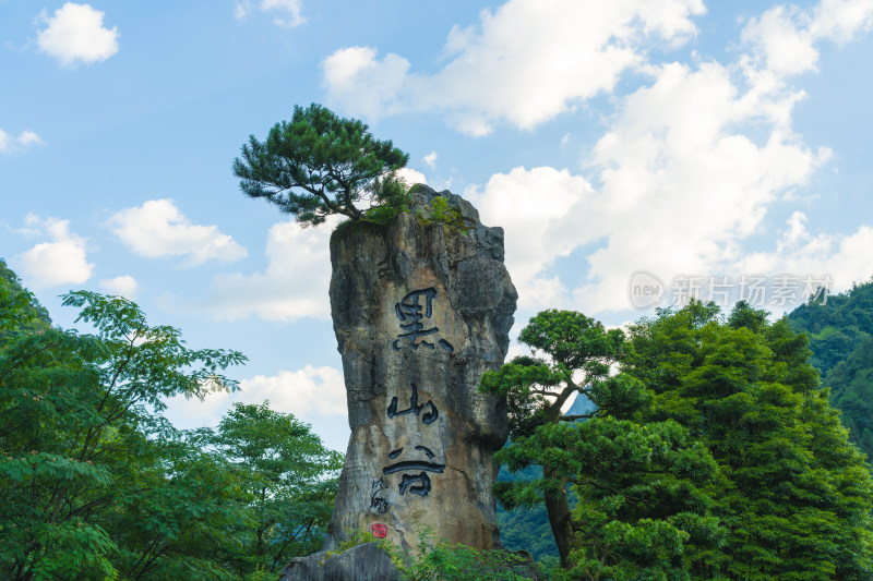 重庆黑山谷山石碑刻与松树