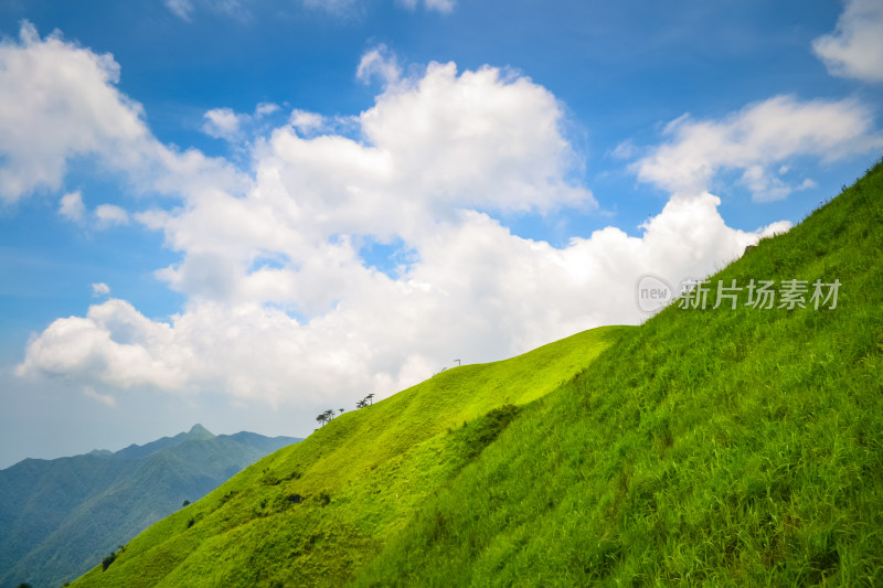 江西武功山高山草甸