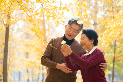 在银杏林散步的老年夫妻