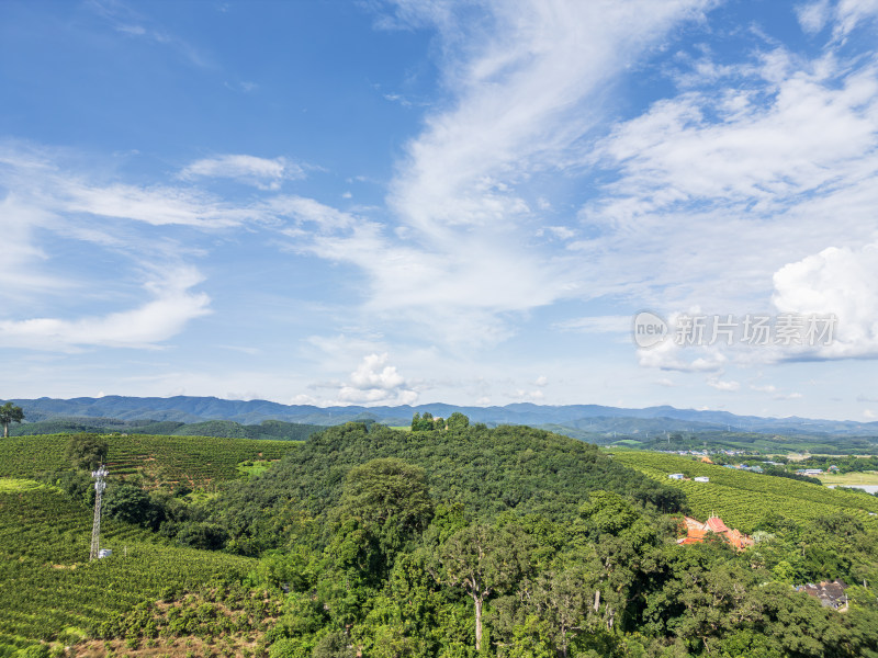 航拍云南西双版纳乡村田园风光