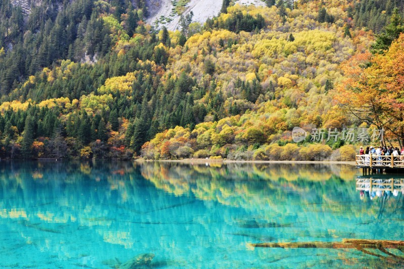 秋天的九寨沟山水