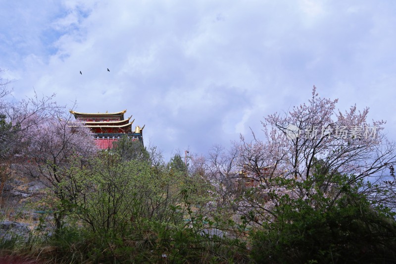 独克宗古城大佛寺