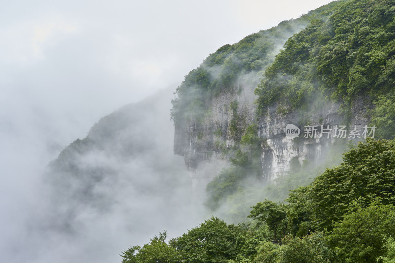 重庆金佛山美景