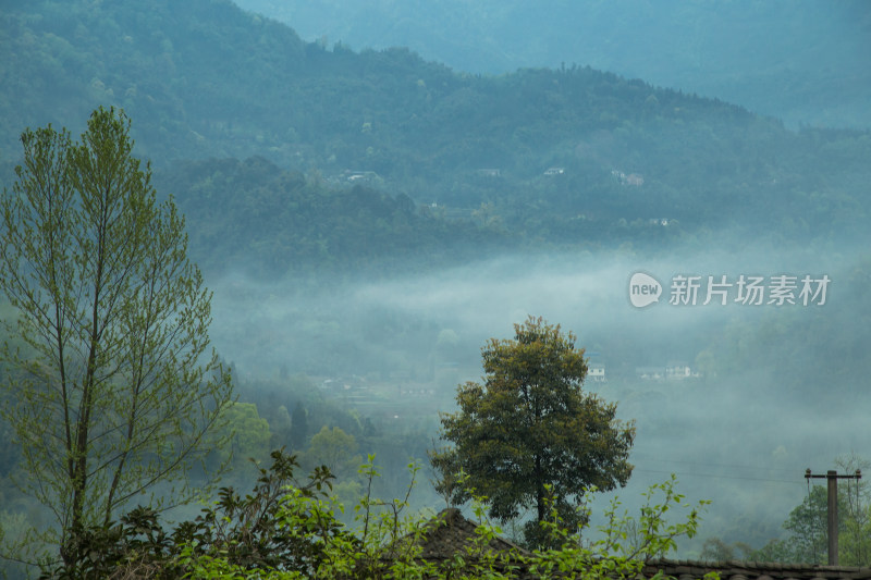 山间农村清晨晨雾