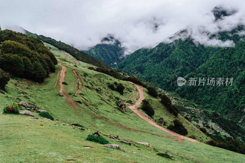 阿坝州四姑娘山海子沟