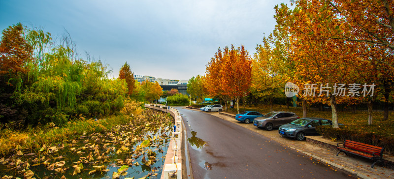 秋日路边风景及停车场景