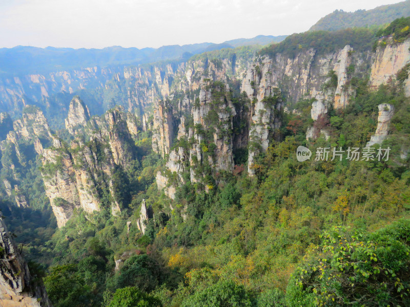 湖南张家界武陵源国家森林公园旅游风光