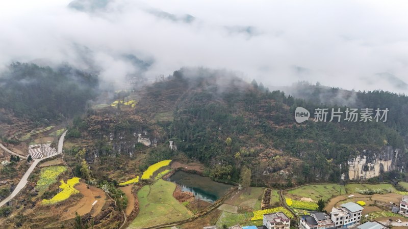 重庆酉阳：青山披绿菜花黄