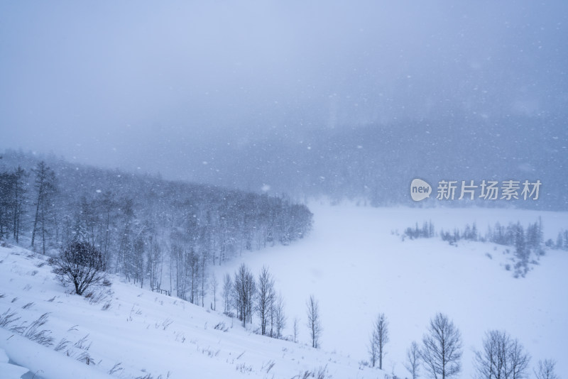 新疆阿勒泰喀纳斯冬季雪景