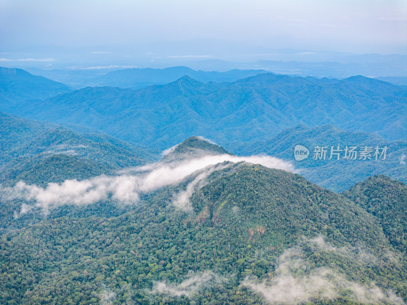 海南乐东县尖峰岭国家森林公园热带雨林