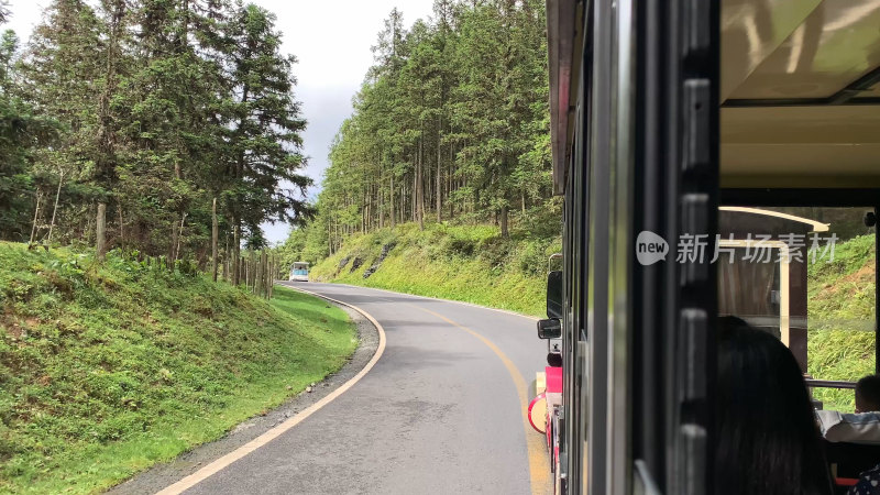 重庆武隆仙女山森林公园