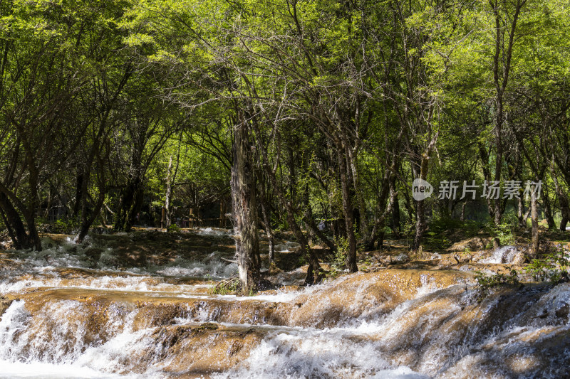 山涧溪流流淌溅起白色水花