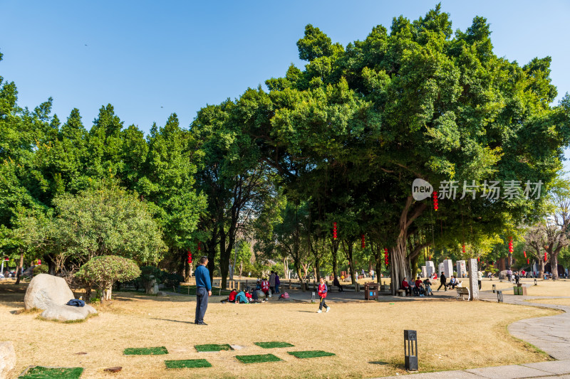 福州春天绿意盎然的冶山春秋公园景色