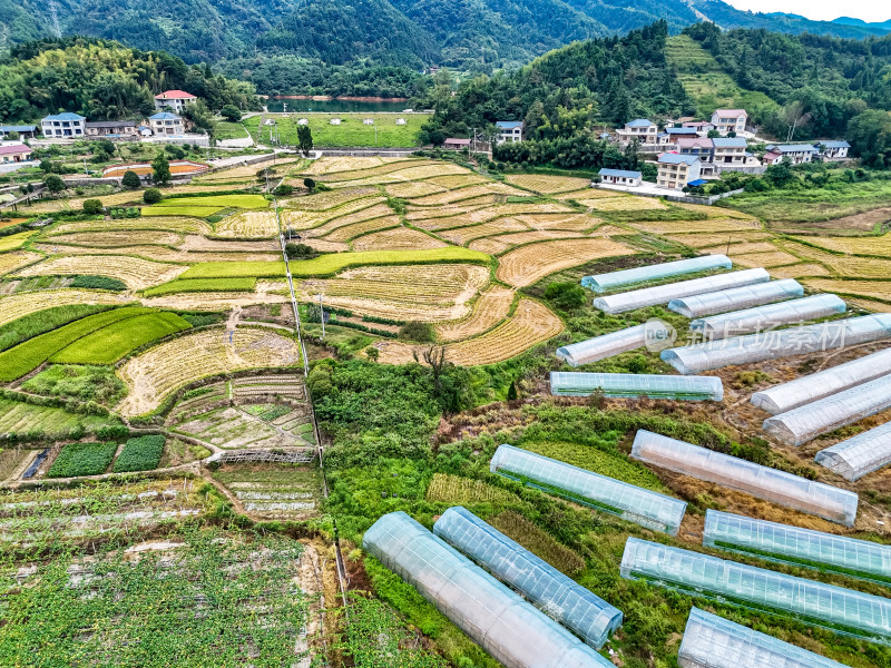 秋收农田航拍图