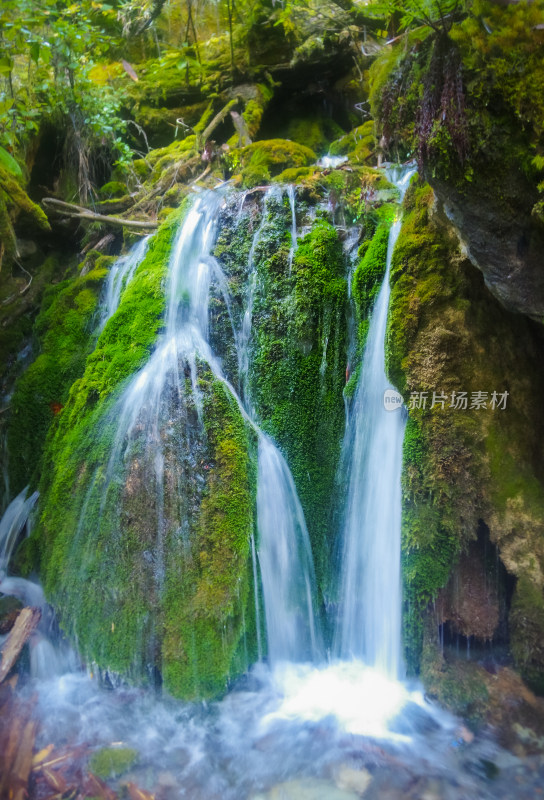 清新的苔藓瀑布自然风景