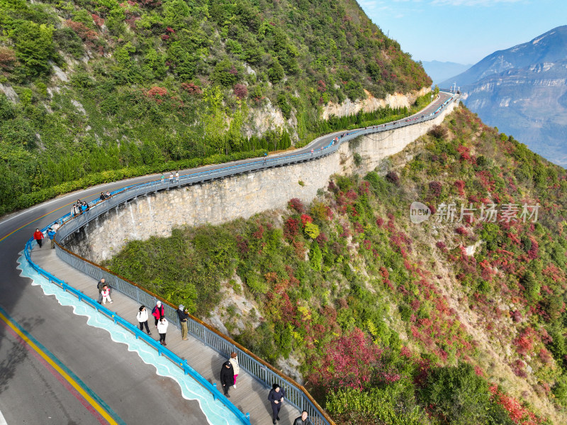 长江三峡巫峡红叶