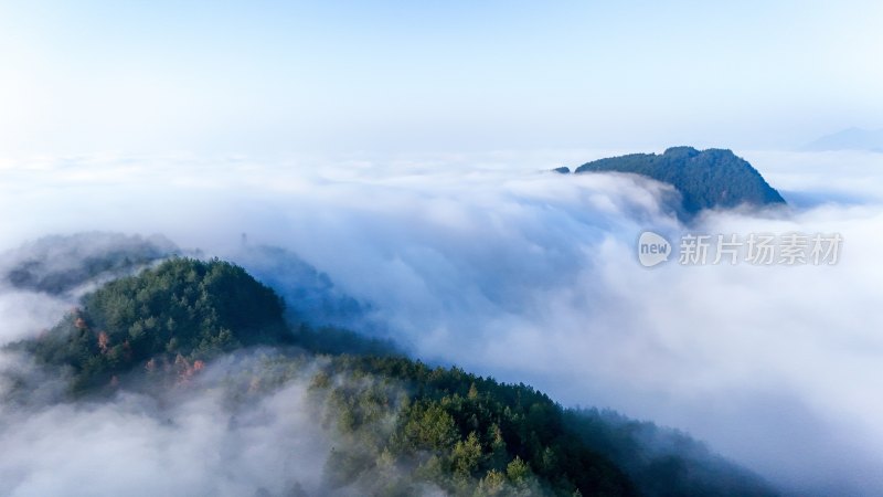 贵州沿河：红花盖下雾正浓