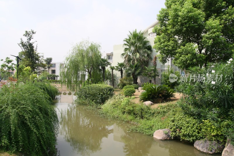 上海绿化