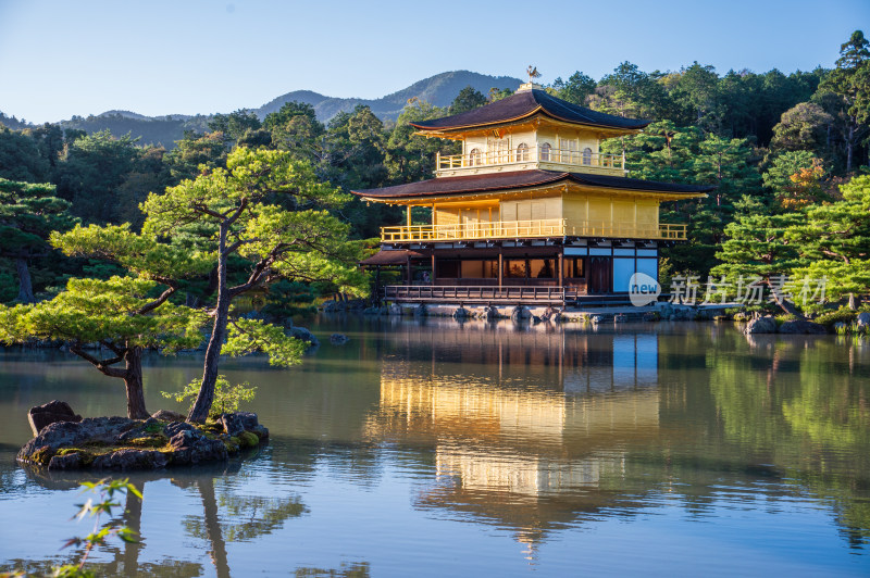 日本京都金阁寺镜湖池畔金色舍利殿景观