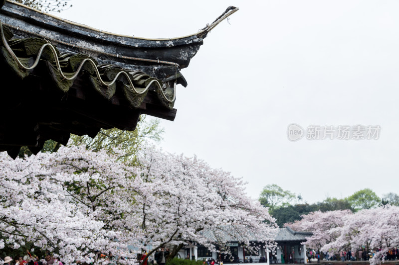 江苏无锡鼋头渚风景区