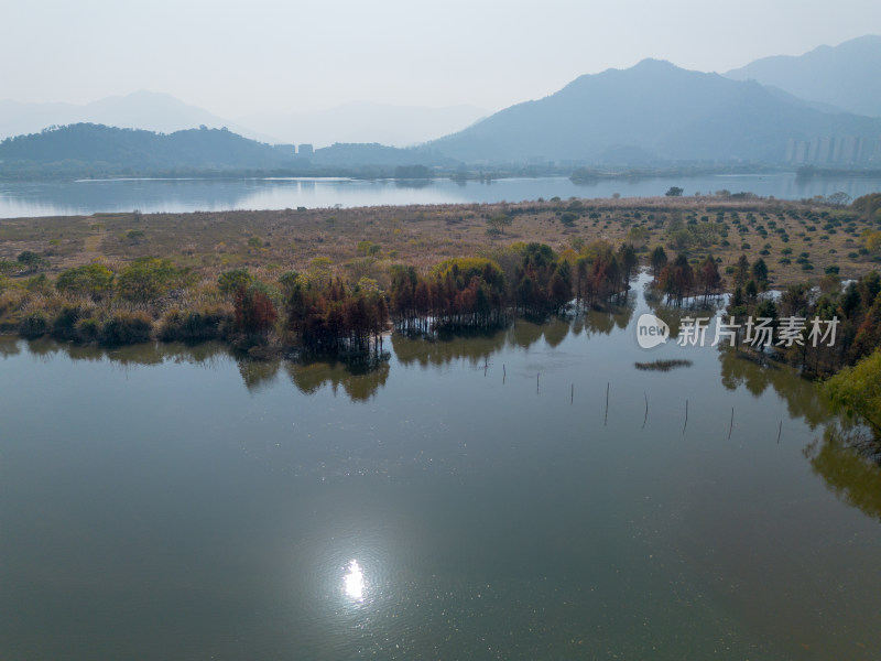 福州多彩树林沿水域分布的自然风景航拍