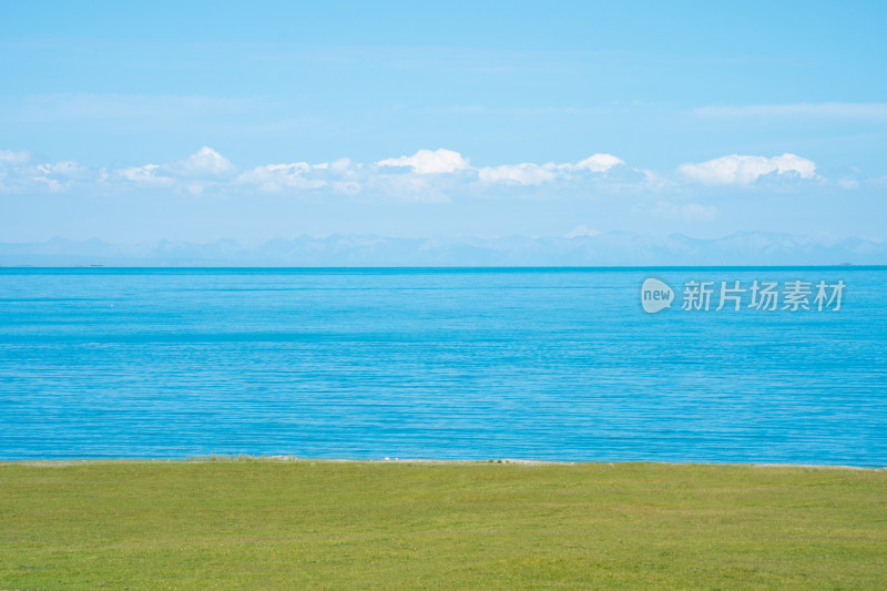 晴朗蓝天下长满青草的湖边青海湖