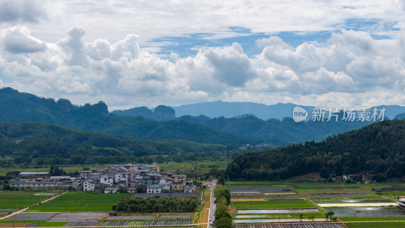 航拍武夷山绿色农田与茶园