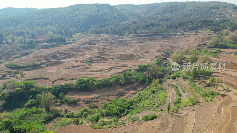 山区农业种植耕地航拍