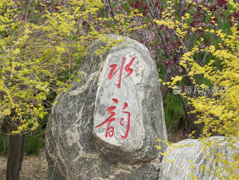 刻有“水韵”的景观石与花卉