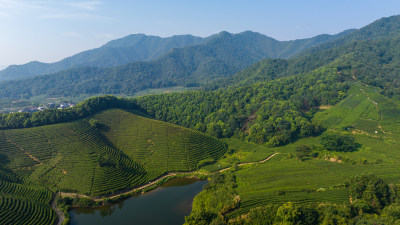 航拍杭州龙坞茶园 茶山 茶田