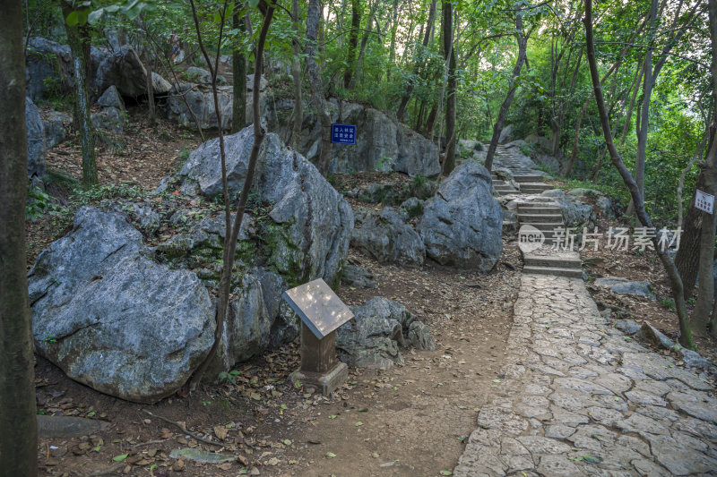 杭州西湖飞来峰顶