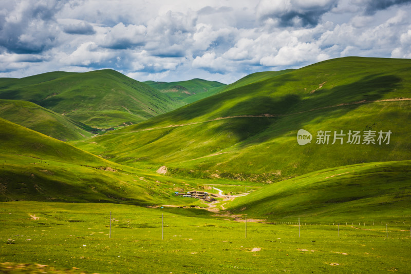 青翠山峦下的广阔草原