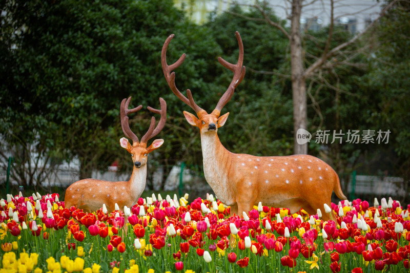 花海里的仿真鹿