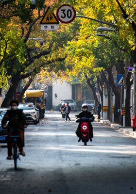 上海安亭路街景秋色