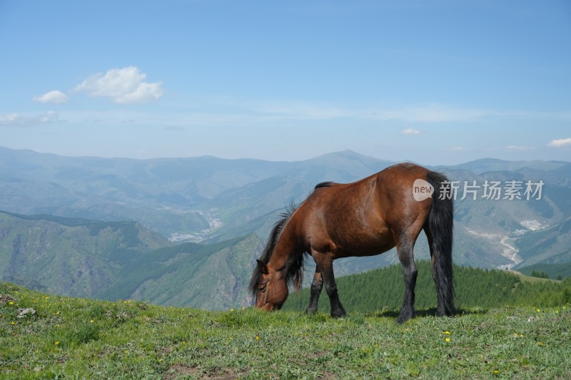 五台山南台风光