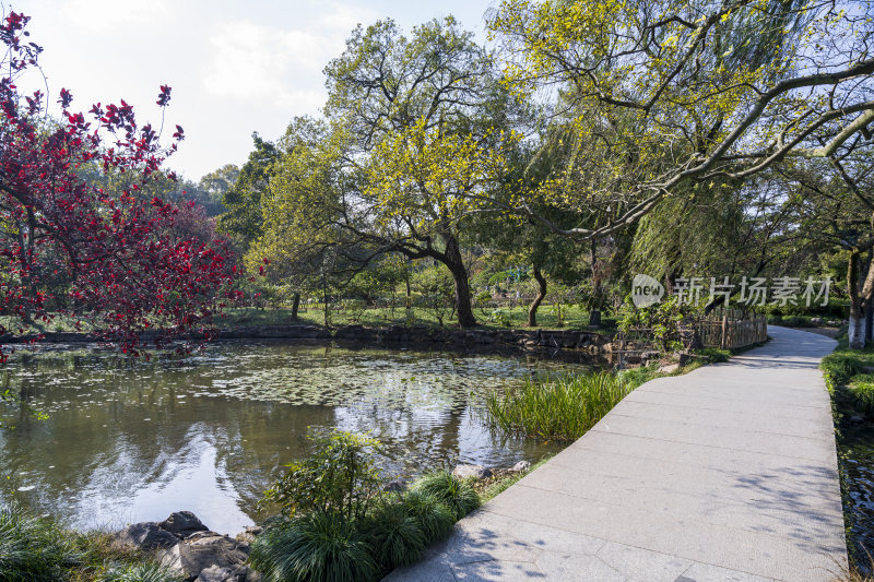 杭州西湖花港观鱼风景